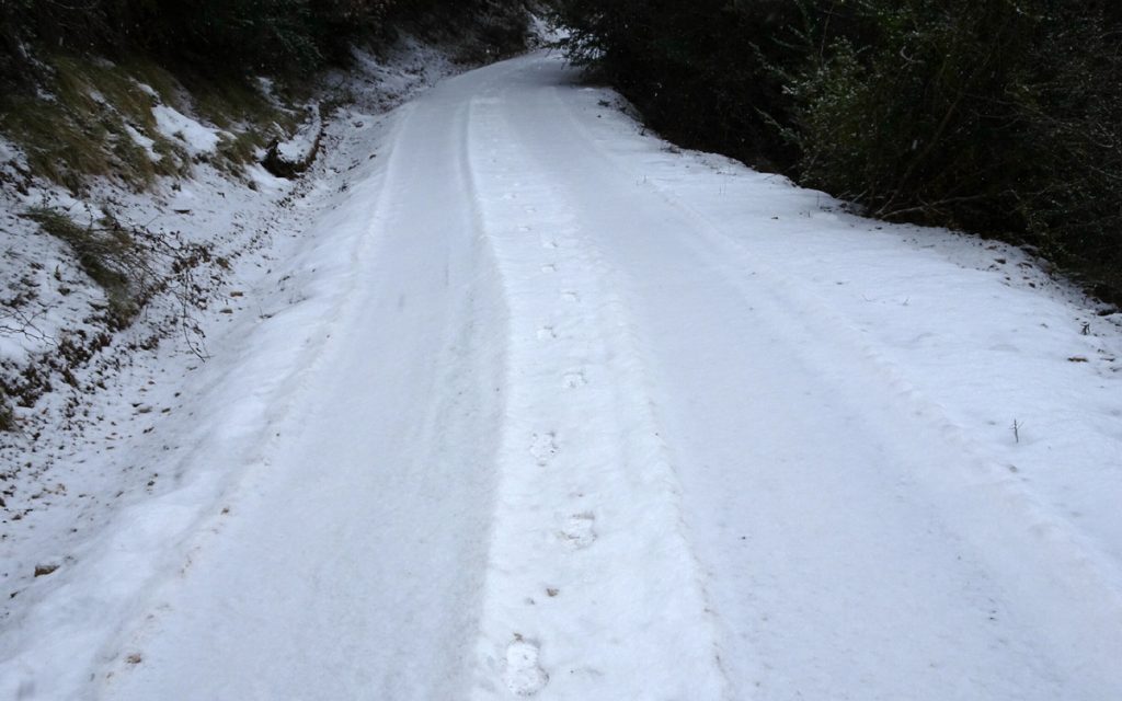 Camino nevado
